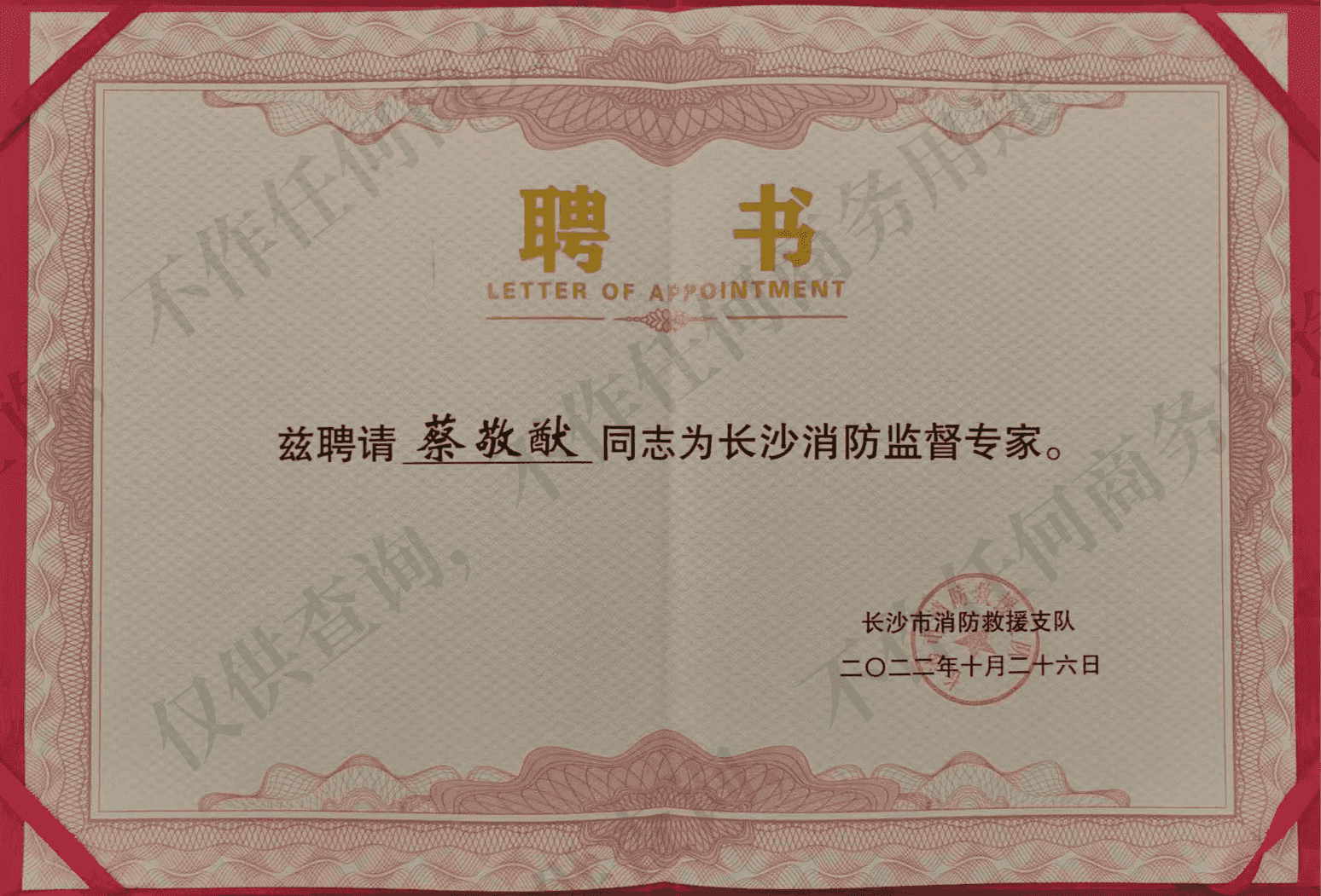 长沙消防监督专家